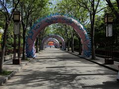 -洛阳市隋唐城遗址植物园