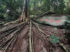 -七仙岭温泉国家森林公园