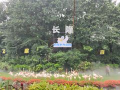 -广州长隆飞鸟乐园