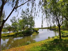 -东郊湿地公园