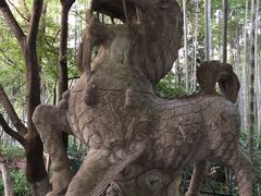 -西湖风景区十里琅珰-五云山