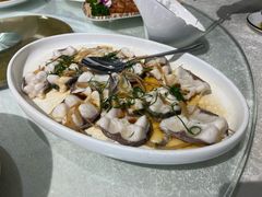 家乡蒸缩骨鱼片-顺德佬酒楼(愉龙店)