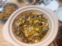 -滇铺子·云南特色菜·第九届野生菌美食节(东风东路c86店)