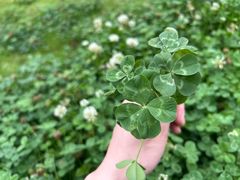 -狼山风景名胜区