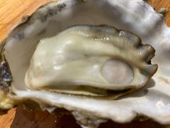 -陈记高压锅鱼头·生蚝