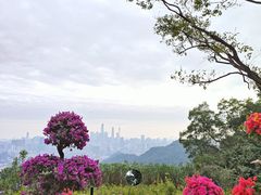-广州市白云山风景名胜区