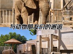 -北京动物园