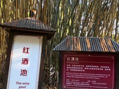 -森波拉火山温泉