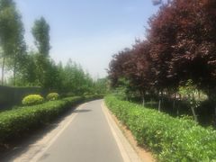 -白鹭湾湿地公园