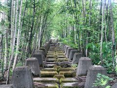 -青池