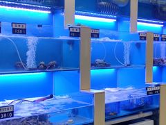 水产区-老虎滩大连海鲜烧烤(建邺云锦路总店)