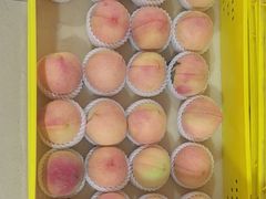 -老袁家蜜桃农场·阳山水蜜桃