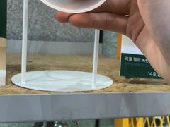 -line friends(明洞旗舰店)