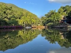 -西双版纳原始森林公园