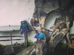 -南昌动物园