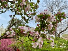 -元大都城垣遗址公园