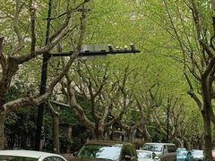 -璐坊粽王(复兴中路店)