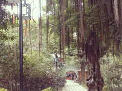 -小洲村