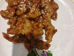 -新侨小馆(东直门北小街店)