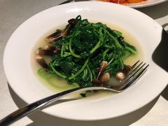 -皇朝会.经典传统粤菜(外滩店)