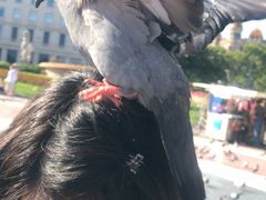 -加泰罗尼亚广场