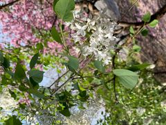 -长辛店二七公园