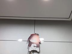 -pd派德宠物中心医院24H急重症·眼科中心·血液透析中心(嵩山北路店)