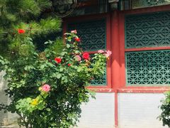 -元大都城垣遗址公园