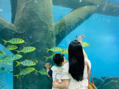 -福州罗源湾海洋世界旅游区