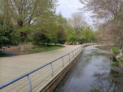 -长白岛森林公园