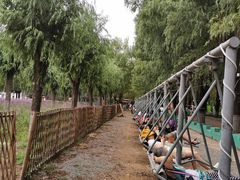 -北戴河集发农业梦想王国