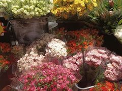 -循礼门鲜花花市(武汉循礼门店)