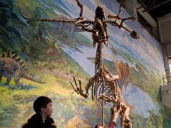 -自贡恐龙博物馆