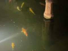 -荐悫堂(锦江新天地店)