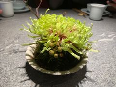 -马旺子·川小馆