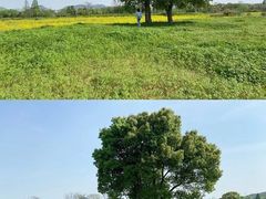 -良渚古城遗址公园