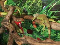 -上海昆虫博物馆