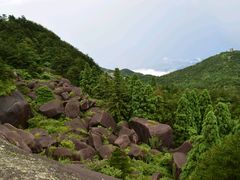 -玉苍山国家森林公园