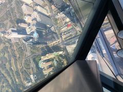 -平安金融中心云际观光层