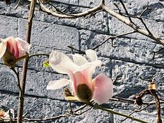 -东华门大街小区