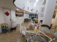 -李小姐の猫咖啡馆(五角场店)