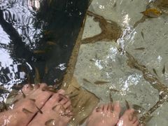 -湖泉半山温泉(湖泉生态园)