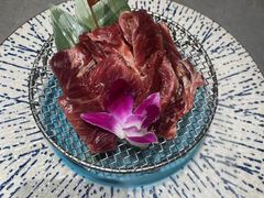 -杨小佳·齐齐哈尔烤肉·烤串(广州店)