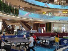 -乐旋乒乓球(广州西湾路店)