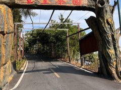 -长沙黑麋峰国家森林公园