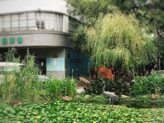 -苏州河梦清园环保主题公园