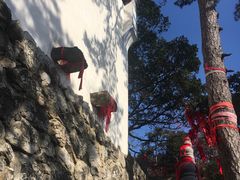 -塔云山