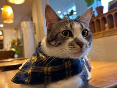 -echoes coffee回响咖啡(888街店)