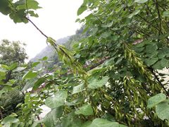-峙山公园