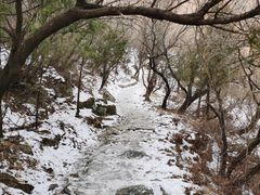 -阳台山自然风景区